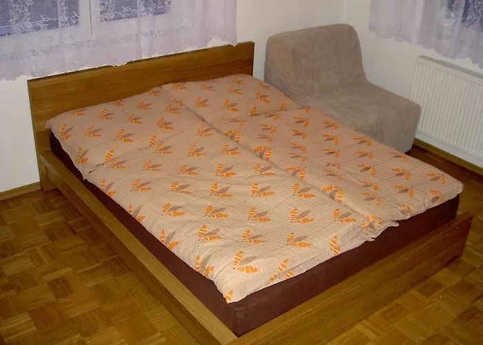 Chocholousek בית הארחה